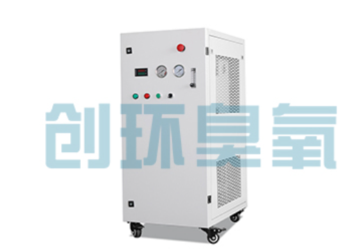 黄山石斑鱼养殖水质调控完整指南：臭氧发生器配置与操作步骤