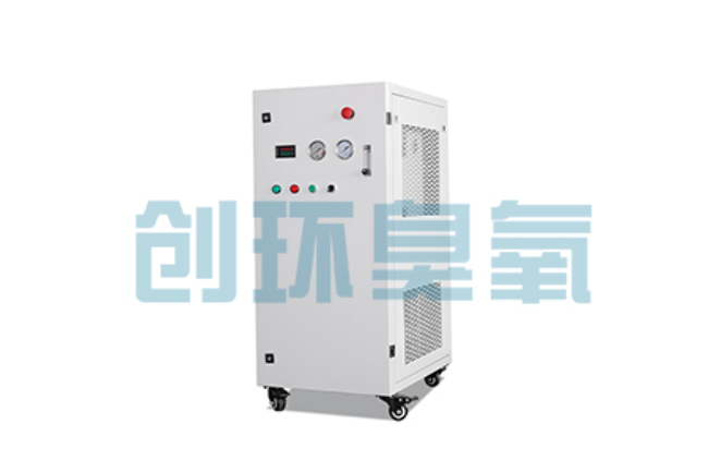 黄山比传统换水更高效？臭氧发生器在石斑鱼养殖中的水质净化原理解析